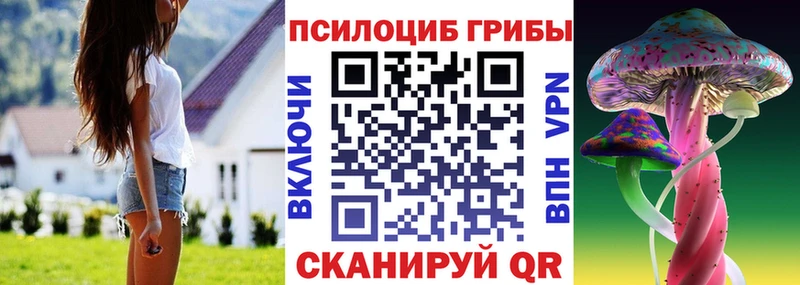 сайты даркнета состав  Приволжский  Псилоцибиновые грибы Cubensis 