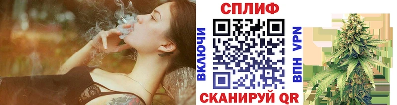 купить наркоту  Приволжский  omg tor  Бошки Шишки семена 